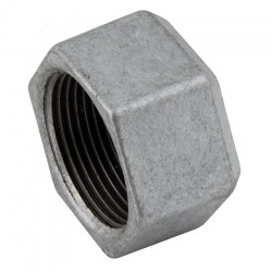 Steam Cap Wr. Iron 1/2